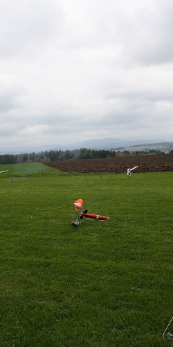 2013 Svojek Mirek Topinka